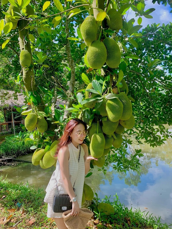 Mê mẩn vườn trái cây của Khu du lịch sinh thái ở Cần Thơ