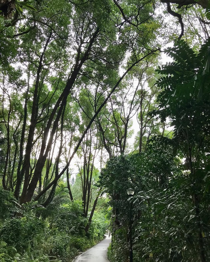 Công viên Kent Ridge Singapore ở đâu?