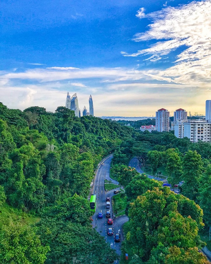 Công viên Kent Ridge Singapore với thảm thực vật xanh mượt