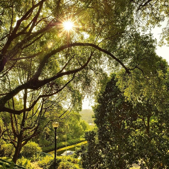 Kinh nghiệm khám phá công viên Kent Ridge Singapore 