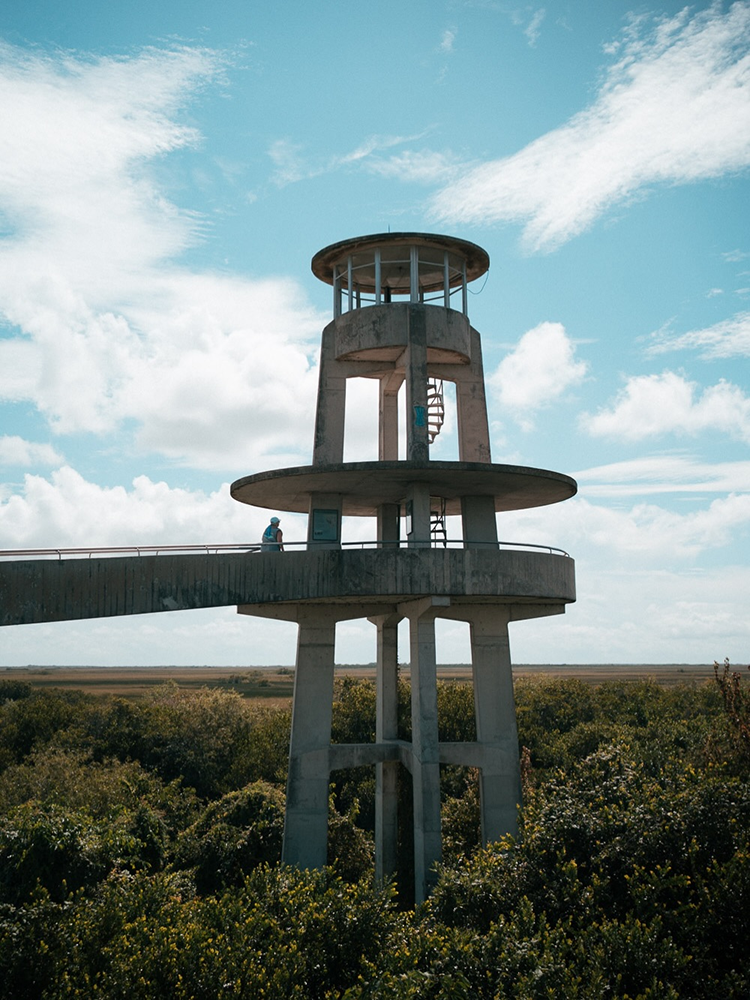 Everglades National Park - Khám phá thiên nhiên hoang dã gần Miami