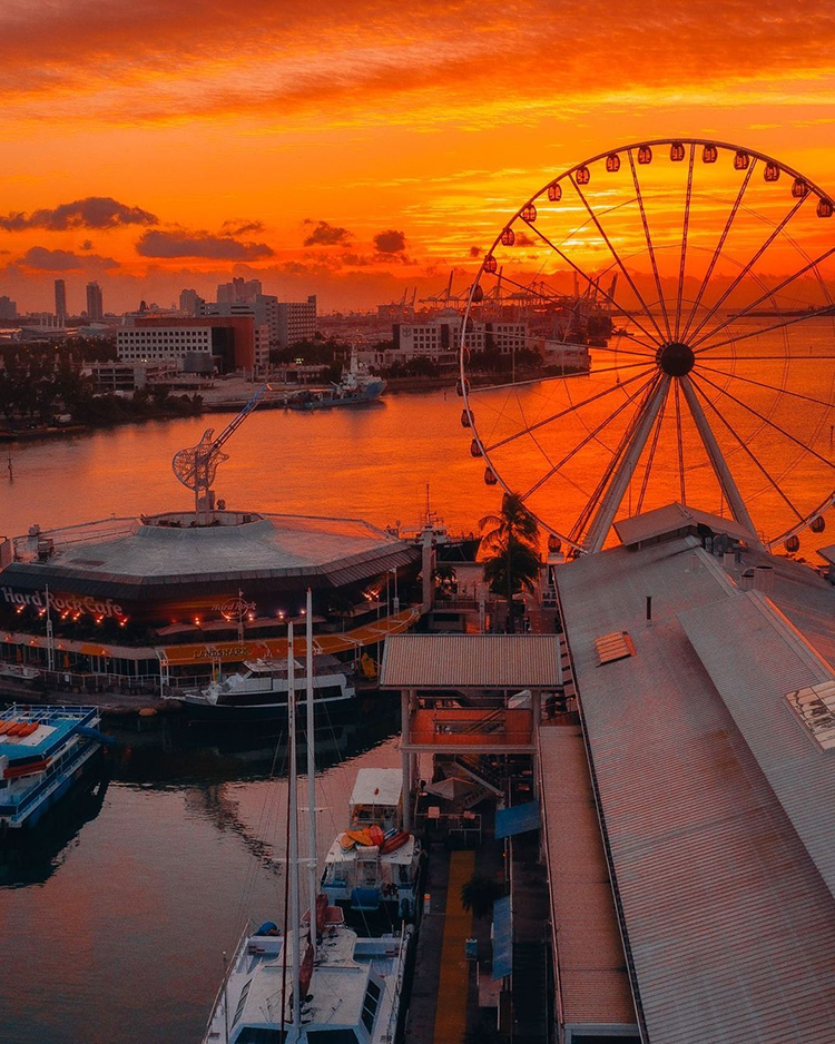 Gợi ý lịch trình địa điểm du lịch mùa hè Miami 3 ngày 2 đêm 