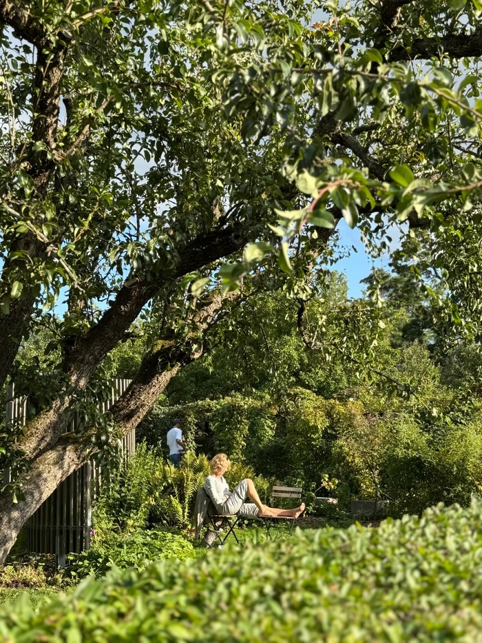 Kinh nghiệm du lịch Stockholm Thụy Điển - Hòa mình vào không gian xanh tại Djurgården