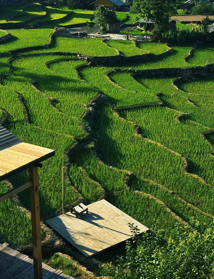 Lá Coffee Sapa với chiếc view xịn sò