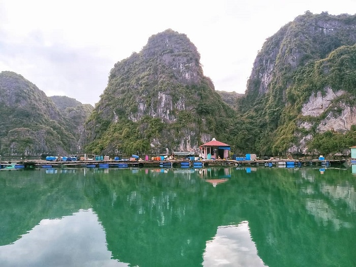 Vung Viêng là làng chài đẹp ở Hạ Long cảnh đẹp êm đềm
