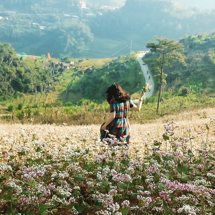 Kinh nghiệm khám phá làng cổ Ma Lé Hà Giang 