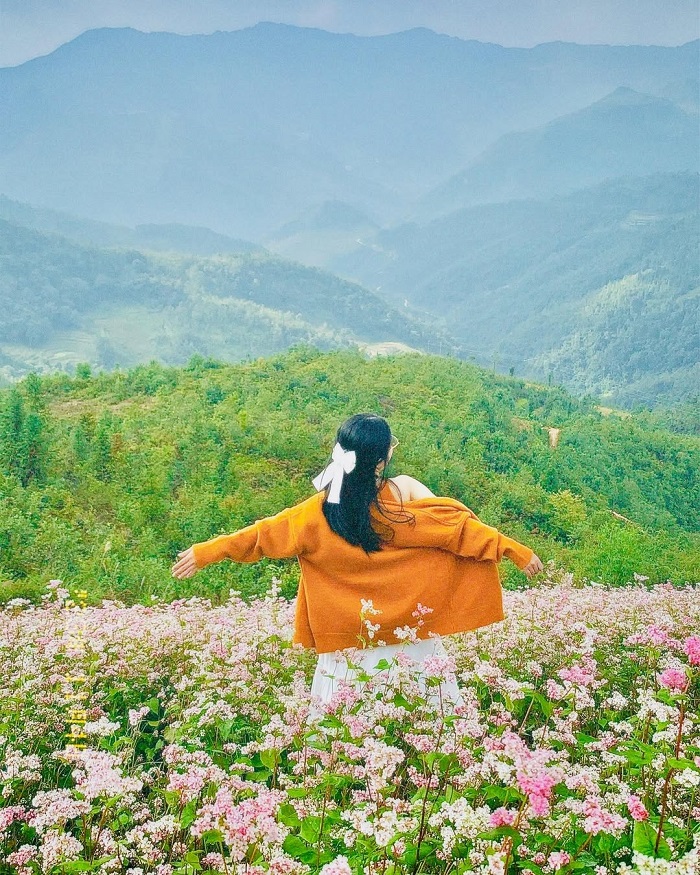 Làng cổ Ma Lé Hà Giang vào mùa hoa tam giác mạch