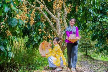 Khu du lịch sinh thái ở Cần Thơ cho bạn trải nghiệm văn hóa dân gian miền Tây