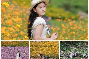 Thung lũng hoa Mộc Châu The Flora đẹp thế này, check in ngay thôi