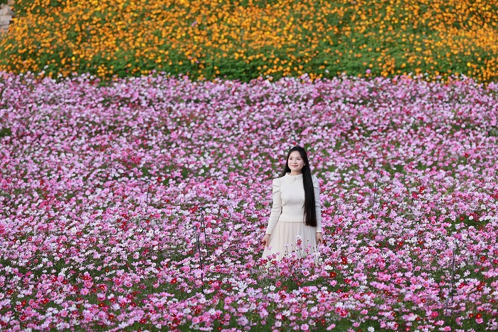 Thung lũng hoa Mộc Châu The Flora ở đâu?
