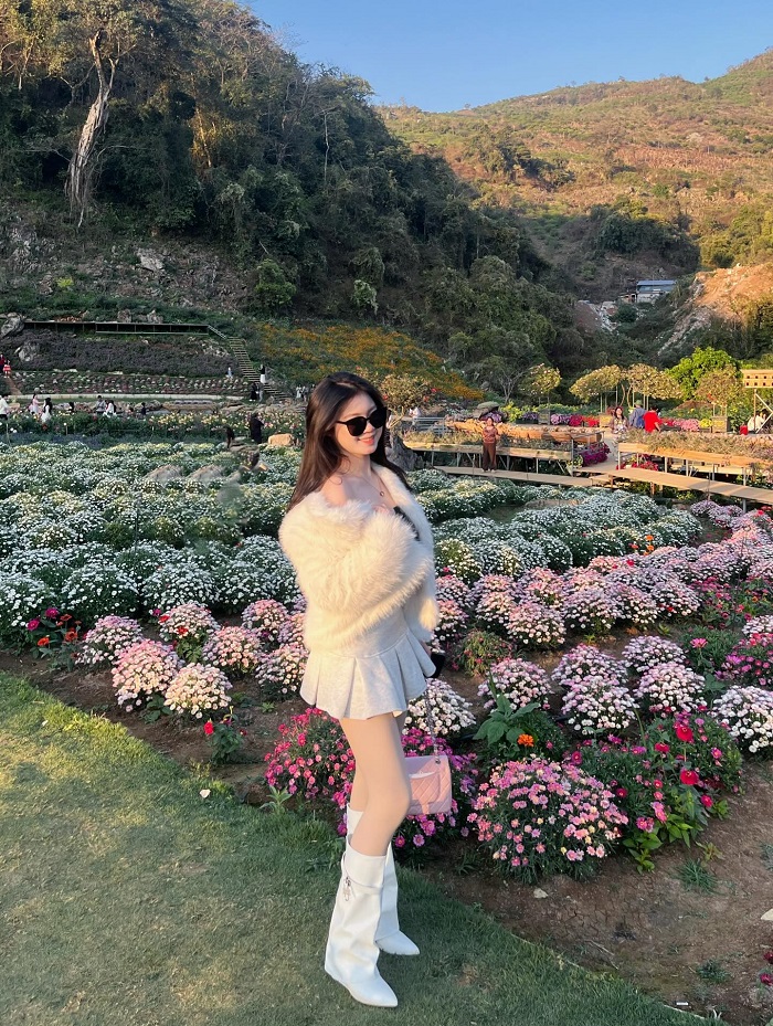 Kinh nghiệm khám phá thung lũng hoa Mộc Châu The Flora