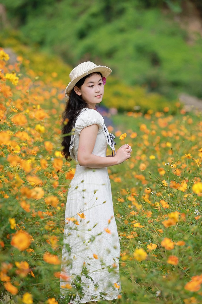 Thung lũng hoa Mộc Châu The Flora trồng đa dạng các loài hoa