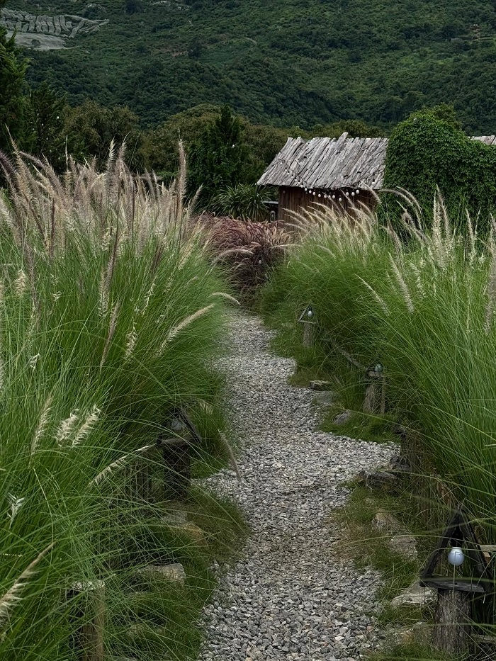 Thung lũng hoa Mộc Châu The Flora mang đến những phút giây tuyệt vời