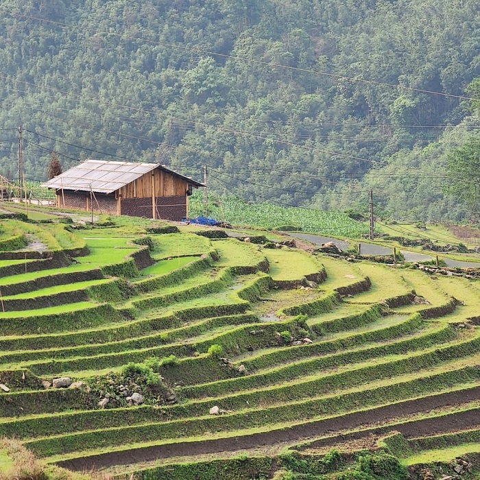 Xã Hầu Thào Sapa với ruộng bậc thang điệp trùng