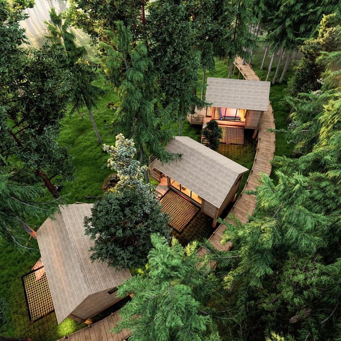 homestay tổ chim