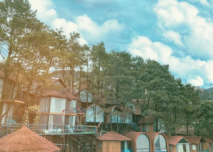 homestay tổ chim