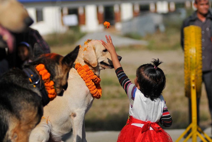 lễ hội Tihar là một trong những lễ hội ở Nepal