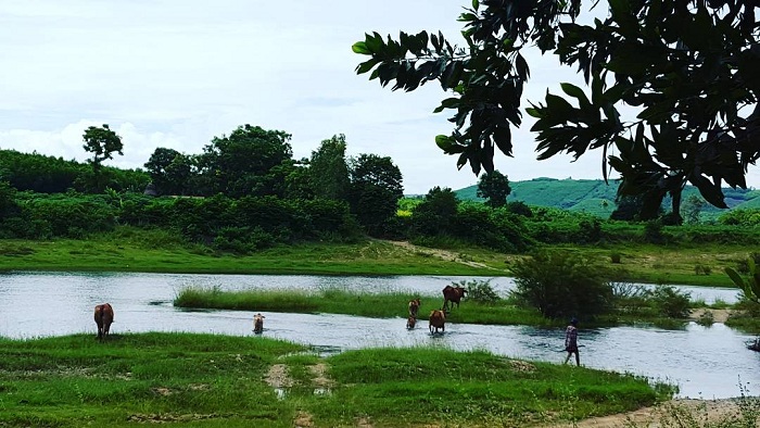 điểm đến ở Phú Yên