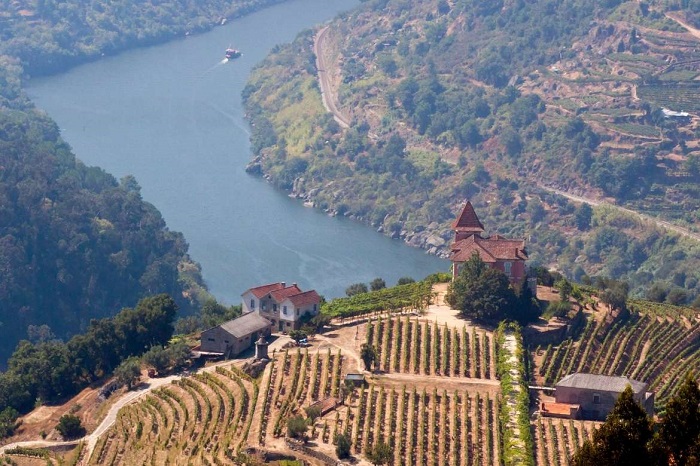 thăm thung lũng rượu vang khi du lịch Bồ Đào Nha 