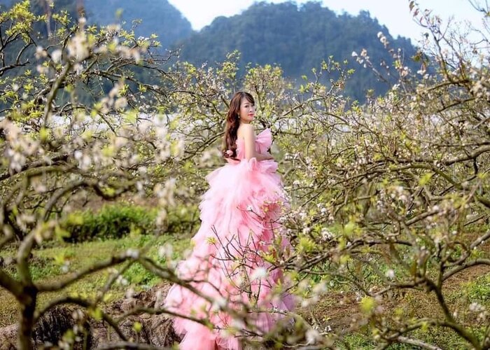 Check-in đẹp trong từng khung hình với toplist các địa điểm du lịch thiên nhiên ở Mộc Châu thơ mộng