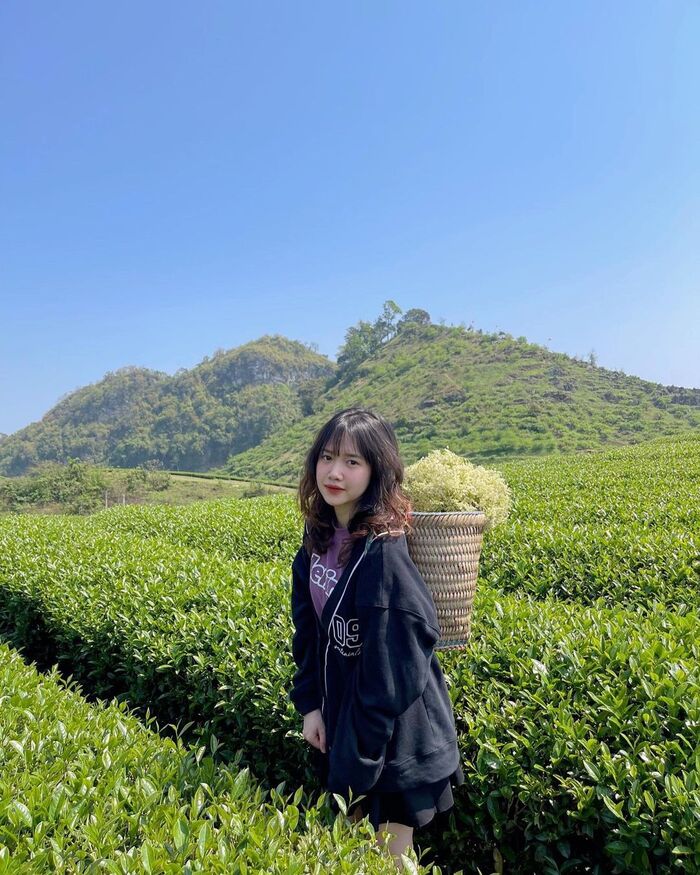 Check-in đẹp trong từng khung hình với toplist các địa điểm du lịch thiên nhiên ở Mộc Châu thơ mộng