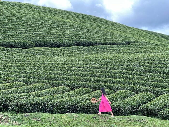 Check-in đẹp trong từng khung hình với toplist các địa điểm du lịch thiên nhiên ở Mộc Châu thơ mộng