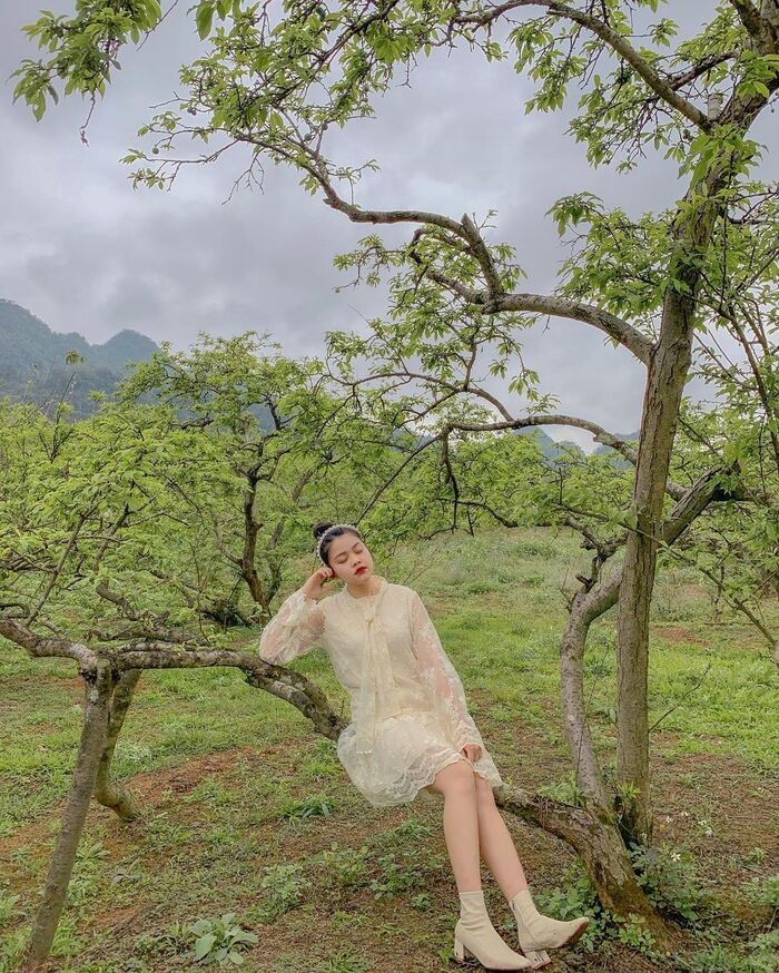 Check-in đẹp trong từng khung hình với toplist các địa điểm du lịch thiên nhiên ở Mộc Châu thơ mộng