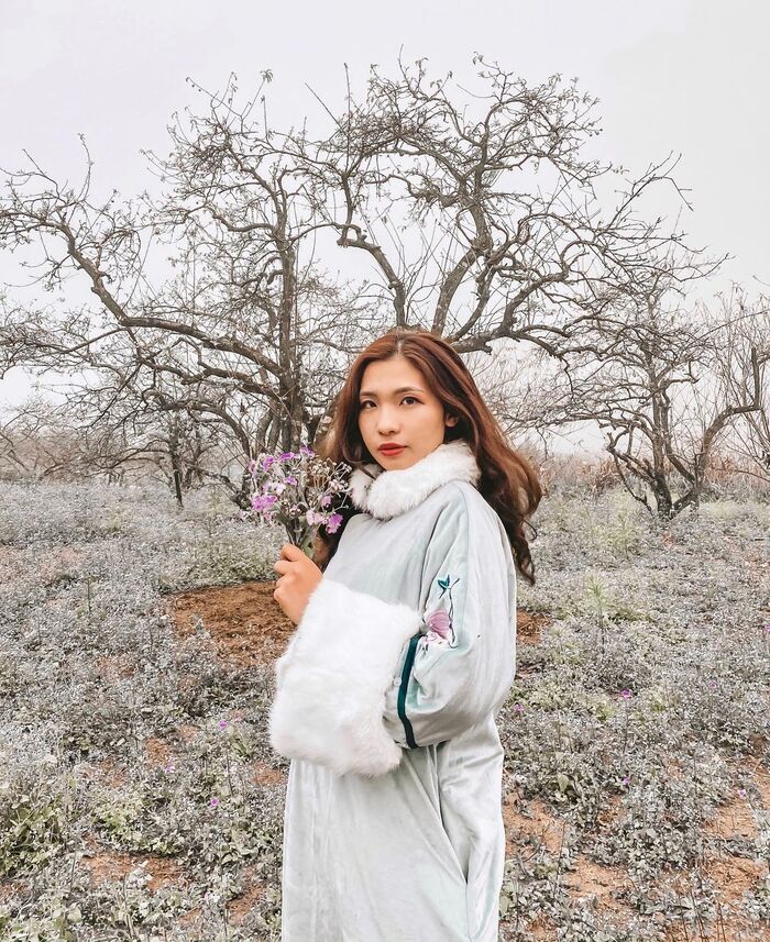 Check-in đẹp trong từng khung hình với toplist các địa điểm du lịch thiên nhiên ở Mộc Châu thơ mộng