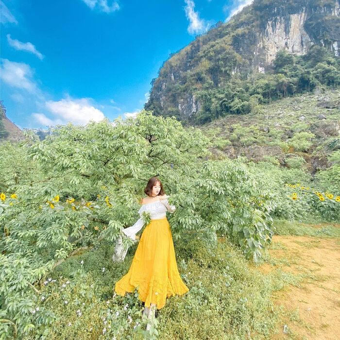 Check-in đẹp trong từng khung hình với toplist các địa điểm du lịch thiên nhiên ở Mộc Châu thơ mộng
