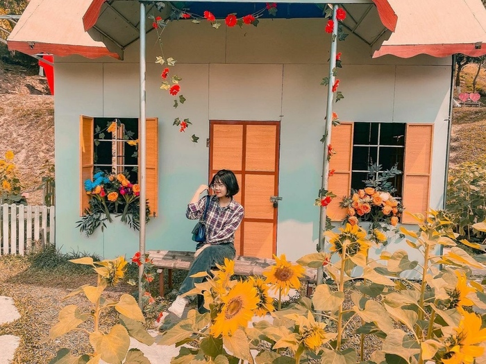 Các địa điểm sống ảo nổi tiếng ở Nam Định sở hữu background ‘đỉnh của chóp’