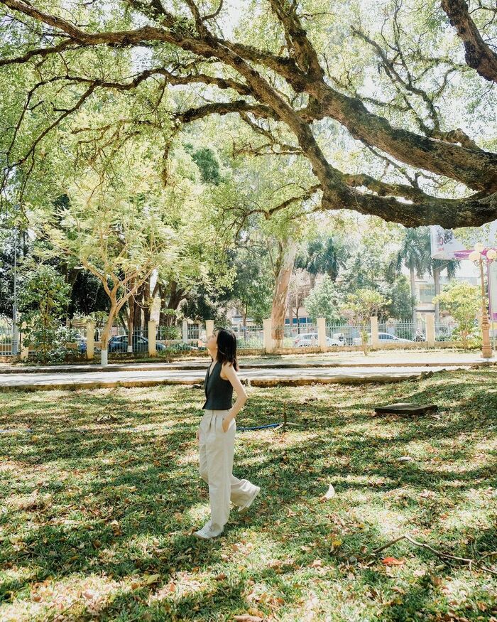 Kinh nghiệm đi bảo tàng Đắk Lắk: Nốt trầm an yên giữa lòng phố núi