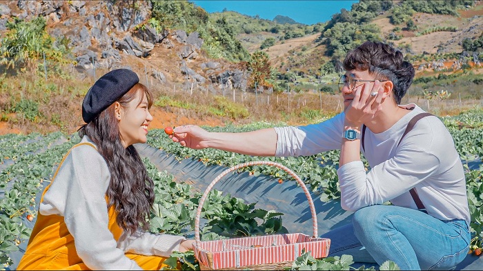 Mơ mộng cùng nông trại Chimi Farm Mộc Châu đẹp đến ngỡ ngàng