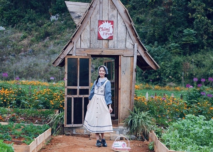 Mơ mộng cùng nông trại Chimi Farm Mộc Châu đẹp đến ngỡ ngàng