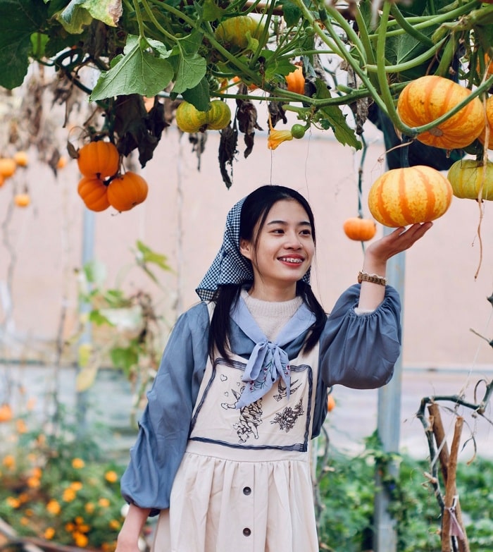 Mơ mộng cùng nông trại Chimi Farm Mộc Châu đẹp đến ngỡ ngàng