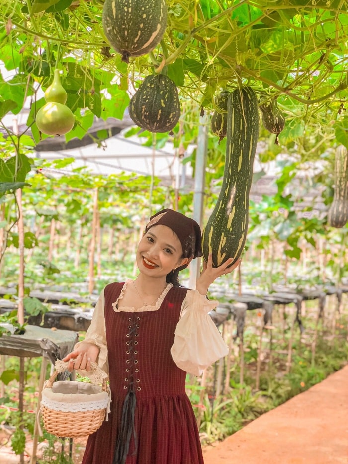 Mơ mộng cùng nông trại Chimi Farm Mộc Châu đẹp đến ngỡ ngàng
