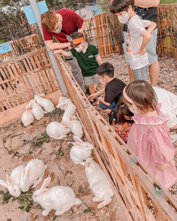 Mơ mộng cùng nông trại Chimi Farm Mộc Châu đẹp đến ngỡ ngàng