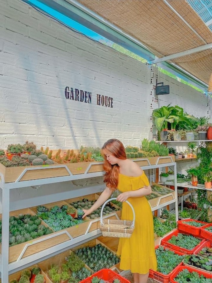 Đâu chỉ có bãi tắm nổi tiếng, các quán cà phê đẹp ở Quy Nhơn cũng đủ sức ‘gây thương nhớ’ bao du khách