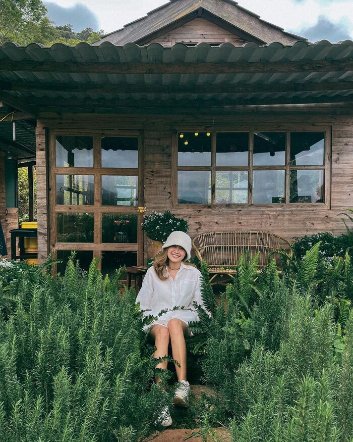 ‘Xỉu ngang, xỉu dọc’ với vô vàn background đắt giá tại các quán cà phê xanh ở Đà Lạt