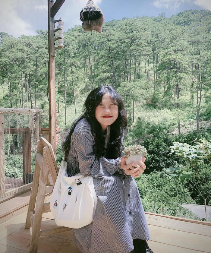 ‘Xỉu ngang, xỉu dọc’ với vô vàn background đắt giá tại các quán cà phê xanh ở Đà Lạt