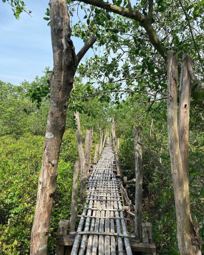 View chụp ảnh đẹp ở Thái Bình