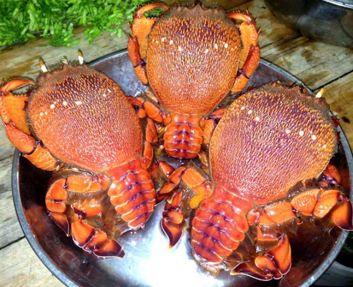 quán ăn ở đảo Phú Quý 