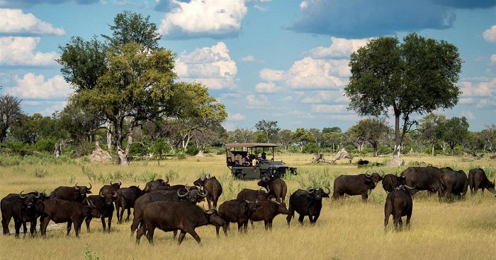 công viên quốc gia đẹp nhất Botswana