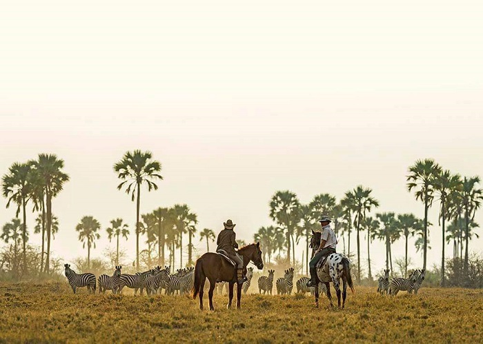 Makgadikgadi, một trong những công viên quốc gia đẹp nhất Botswana. 