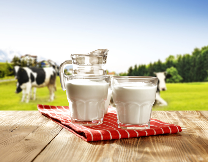 Sữa tươi ở đâu ngon nhất? Quảng Nam cũng tham gia vào hoạt động sản xuất sữa tươi chất lượng cao.