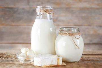 Sữa tươi ở đâu ngon nhất? - Khám phá Top 6 địa danh có sữa tươi ngon nhất Việt Nam