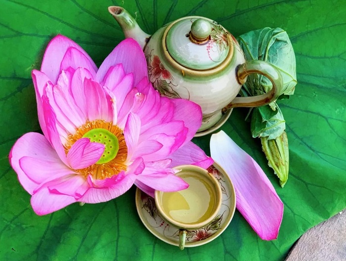 Kết hợp trà xanh tuyển chọn cùng sen bách diệp tạo nên thức uống trà sen Tây Hồ nổi tiếng