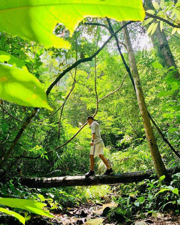 vườn quốc gia Kon Ka Kinh 