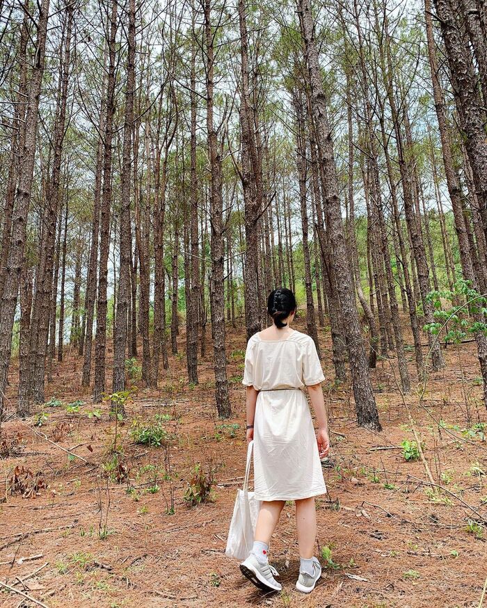 vườn quốc gia Kon Ka Kinh