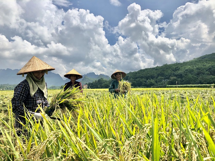 Lễ hội Xíp xí Tây Bắc diễn ra vào ngày 14 tháng 7 hàng năm