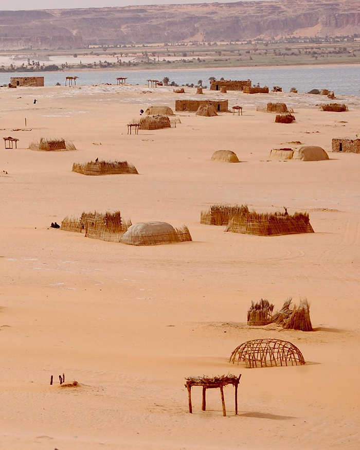 Khám phá Công viên Quốc gia Zakouma khi du lịch Chad